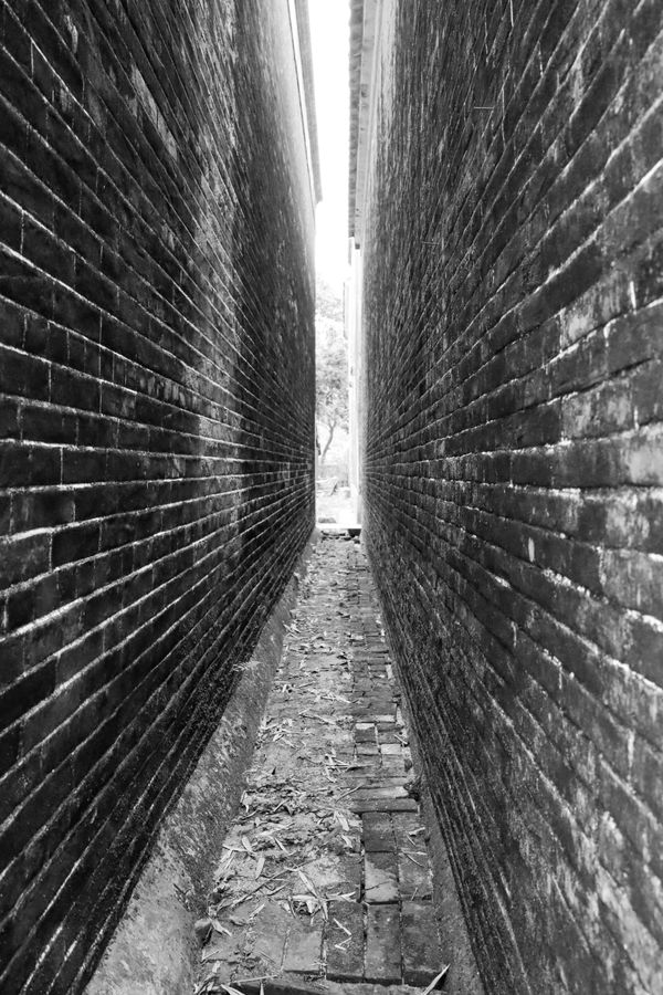 Toward the Light thumbnail