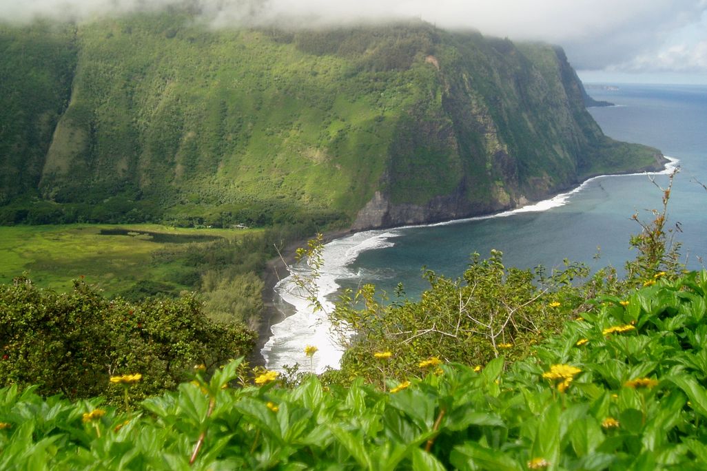 A photo from a scenic overlook on the Big Island. There is a lush, green plateau with a field of green vegetation at the bottom. On the right side, the ocean meets the base of the plateau and white waves crash into the shore.