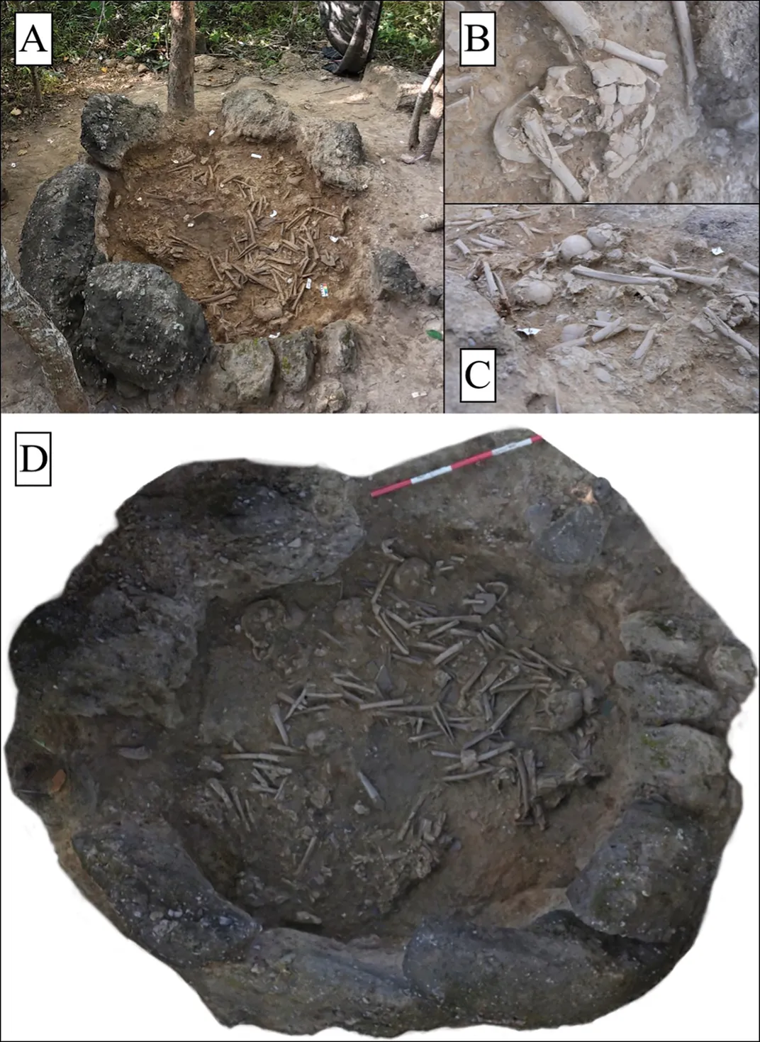 Skeletal remains