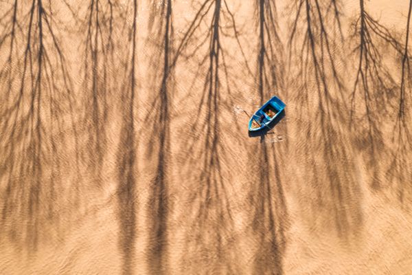 The Blue Kayak thumbnail