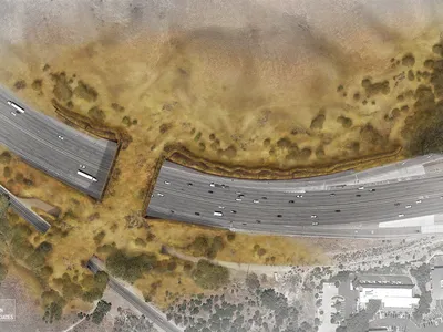 This rendering shows what the wildlife crossing will look like when completed.
