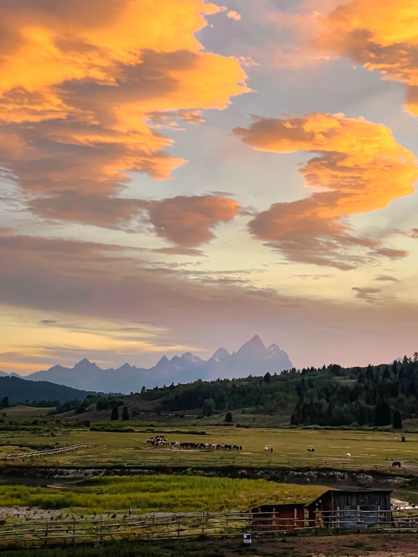 Purple Mountain Majesties thumbnail
