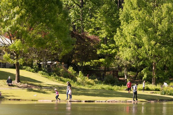 People enjoying an urban botanical gardens thumbnail