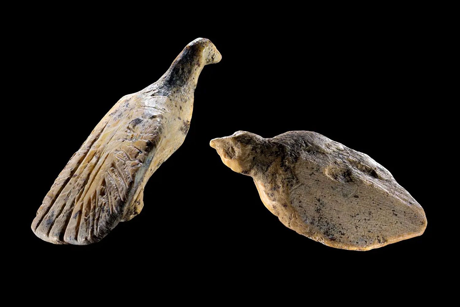 Archaeologists Discover Two Thumbnail-Size Bird Sculptures Carved From Mammoth Ivory 40,000 Years Ago