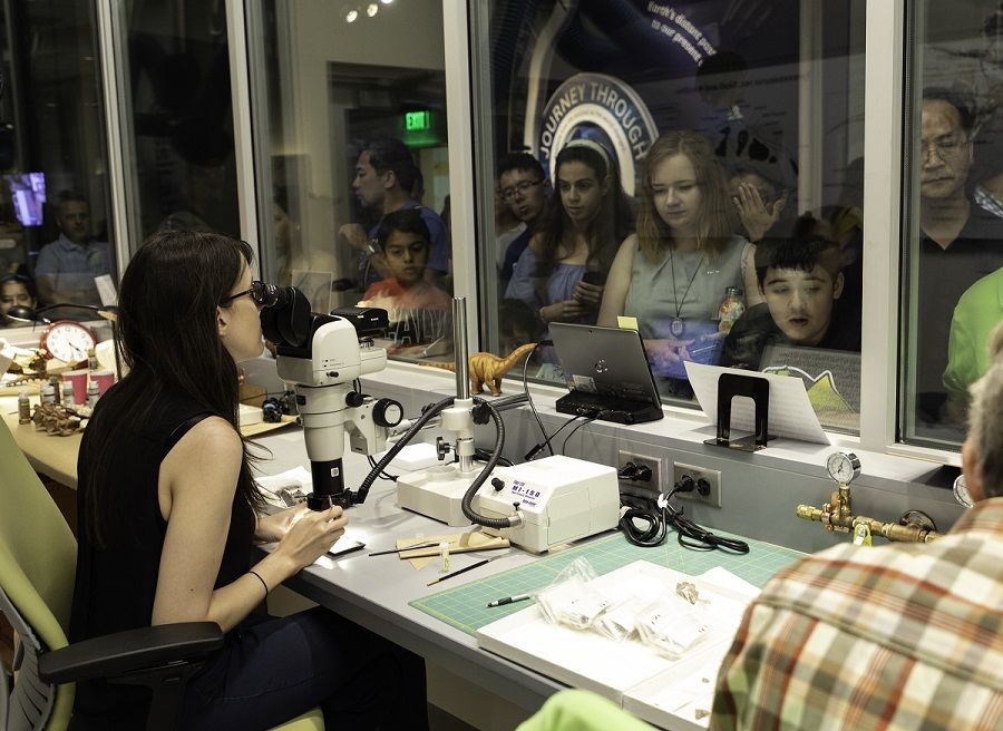 On opening day of the new fossil hall, visitors flocked to the windows of the FossiLab to see fossil preparation in action. (James D. Tiller, Smithsonian Institution)