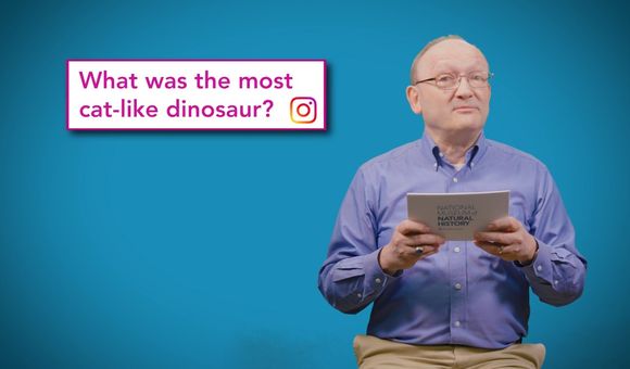 Smithsonian paleontologist, Hans Sues, answers your questions in the National Museum of Natural History’s Deep Time YouTube series, “The Doctor Is In.” (Smithsonian Institution)   