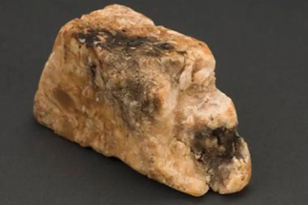 20120604093014ambergris-t.jpg