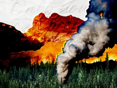 Why Wildfires Are Burning Hotter and Longer image