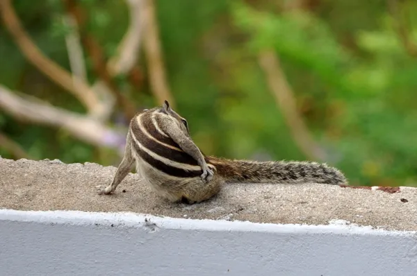 Quite busy thumbnail