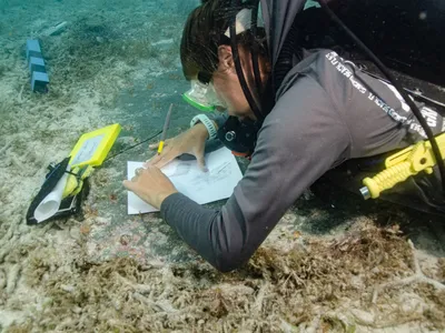 A diver takes a rubbing of John Greer&rsquo;s gravestone underwater at Dry Tortugas National Park.