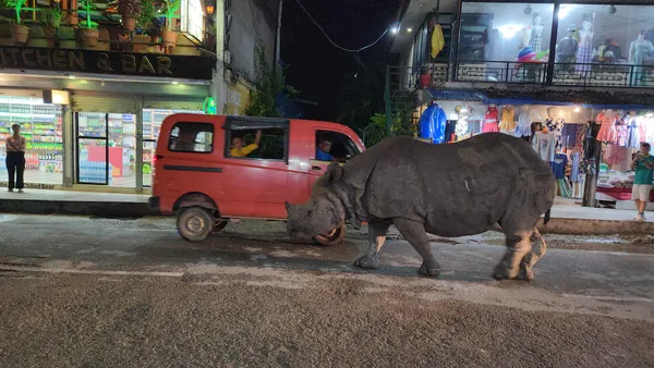 Rhino in a village thumbnail