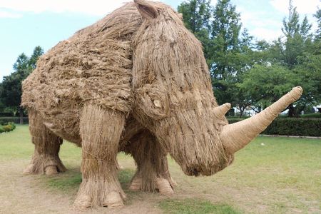 A rhino sculpture made from wara (rice straw) from the 2017 Wara Art Festival.