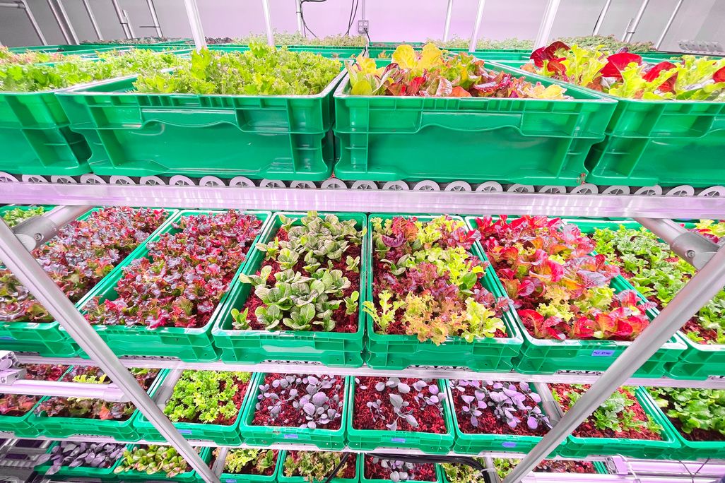 Vertical farming
