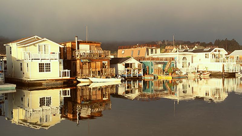 Bay Neighborhood Reflection