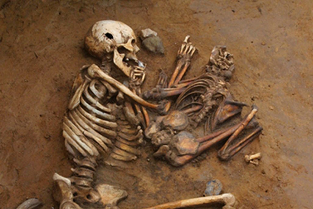 Can ancient skeletons teach us about our genetic past?