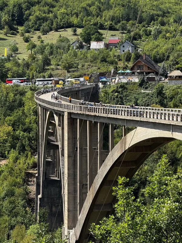 Djurdjevica Tara Bridge thumbnail
