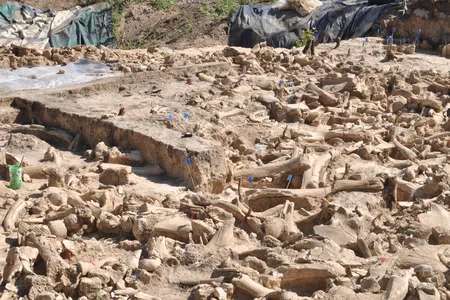 The remains of the newly discovered structure.