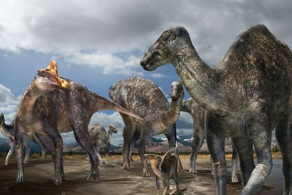 Lambeosaur