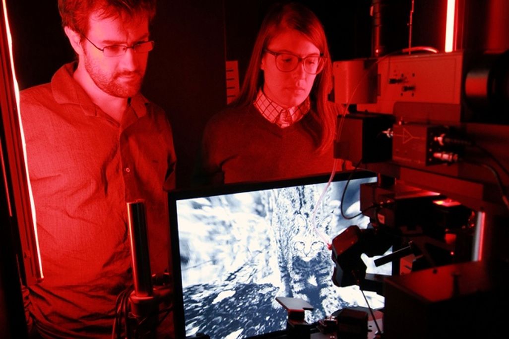 Brain Observatory