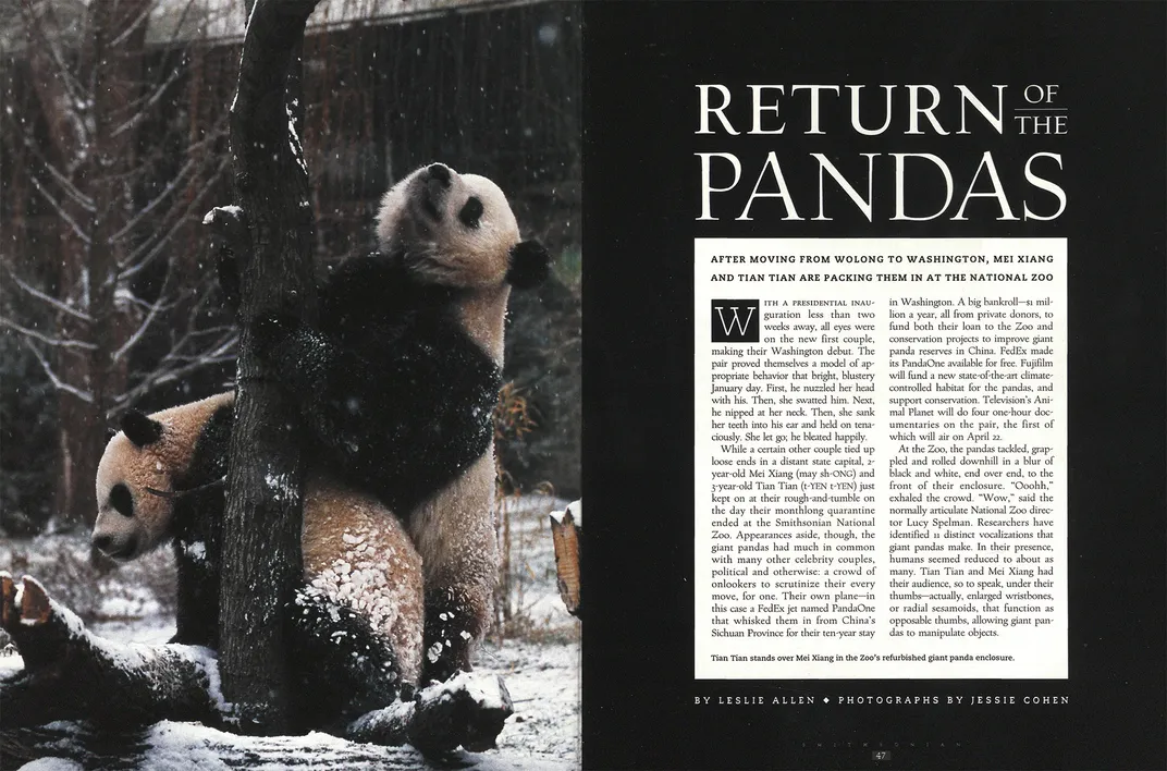 Pages from an April 2001 Smithsonian article marking the arrival of Mei Xiang and Tian Tian