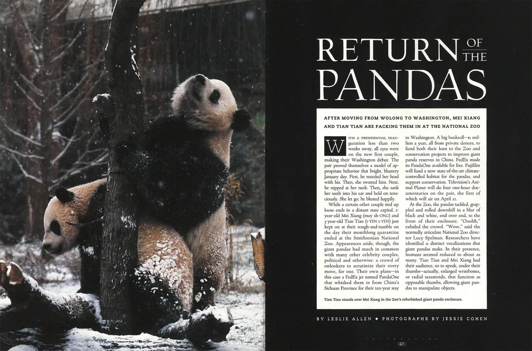 Revisit 51 Years of Giant Pandas at the National Zoo, From Beloved Babies  to Fun in the Snow, At the Smithsonian