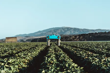 Can a machine be taught to understand the plant world?
