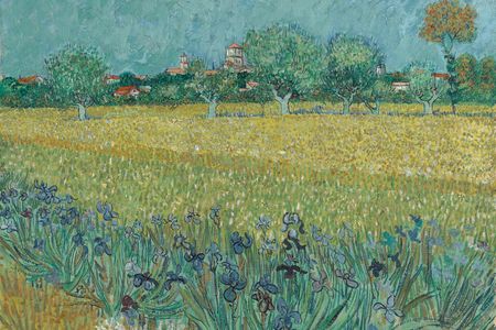 Vincent van Gogh, Field With Irises Near Arles, 1888