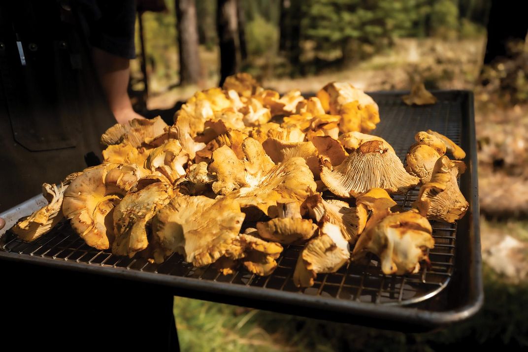 Wild mushrooms