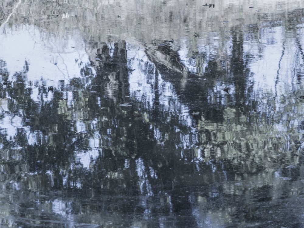 Painted In Reflection | Smithsonian Photo Contest | Smithsonian Magazine