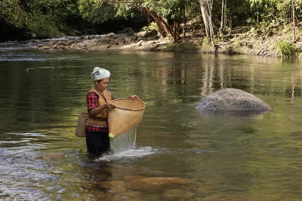 Catching fish the traditional way thumbnail