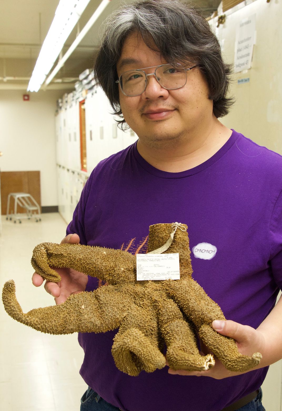 Starstruck: A Suite of Strange Sea Stars Discovered in the Smithsonian's  Collection, Smithsonian Voices