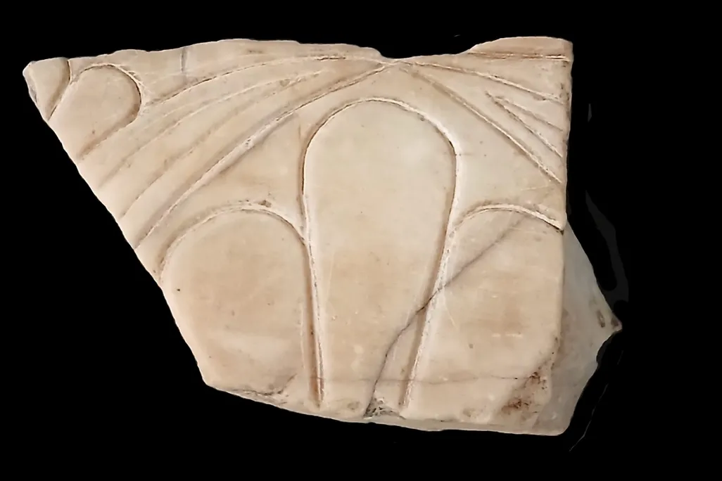 fragment