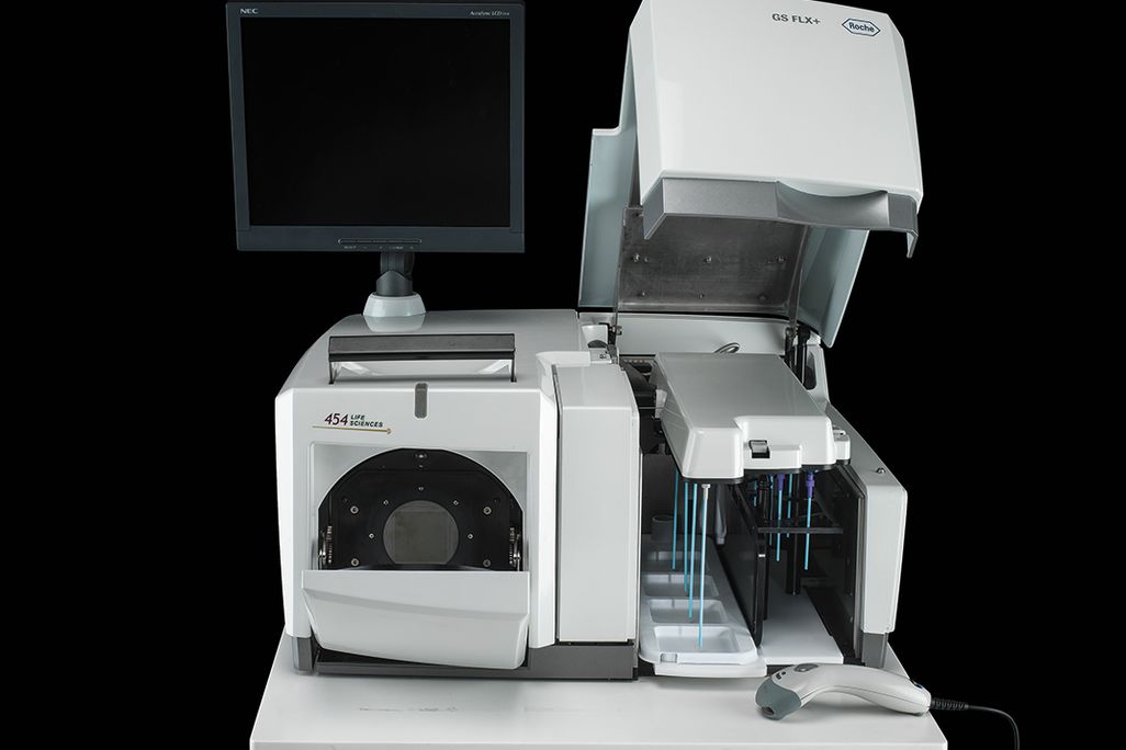 Roche 454