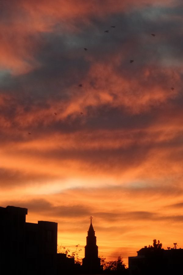 'Cross the Light thumbnail