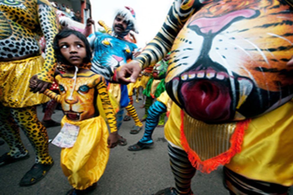 4765-tiger bellies-388.jpg
