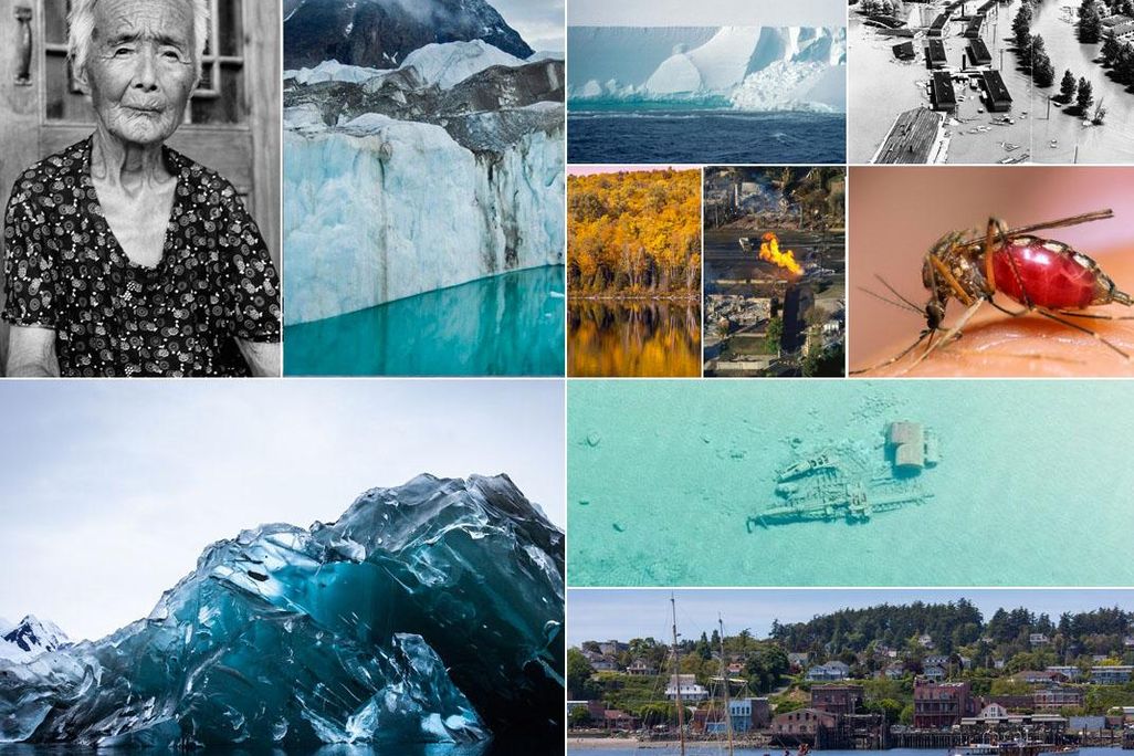 2015-Best-Collage.jpg