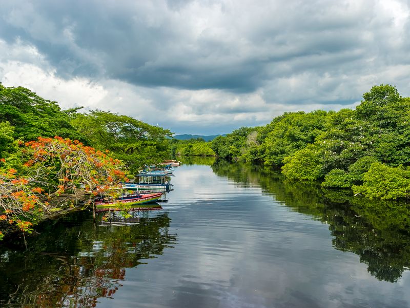 Rainy clouds hovering the wetlands in Negril, Jamaica Smithsonian