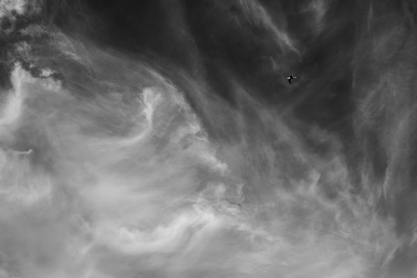 Lonely bird in sky at Lanzarote thumbnail