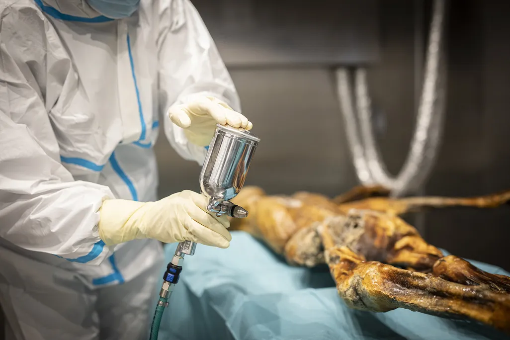 A person humidifying a human corpse