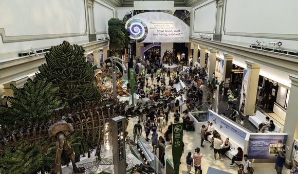 Visitors enter the Smithsonian’s new fossil hall for the first on June 8 when it reopened after being closed for a five-year renovation. (Smithsonian Institution)