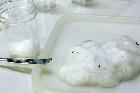 The researchers retrieved frog foam from the forests of Trinidad and brought it back to their lab after removing the eggs, hatching them and returning the tadpoles to the wild.