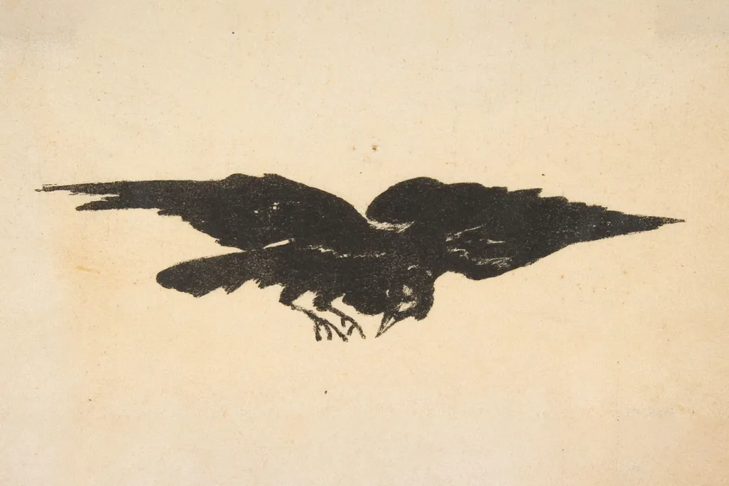 The Flying Raven