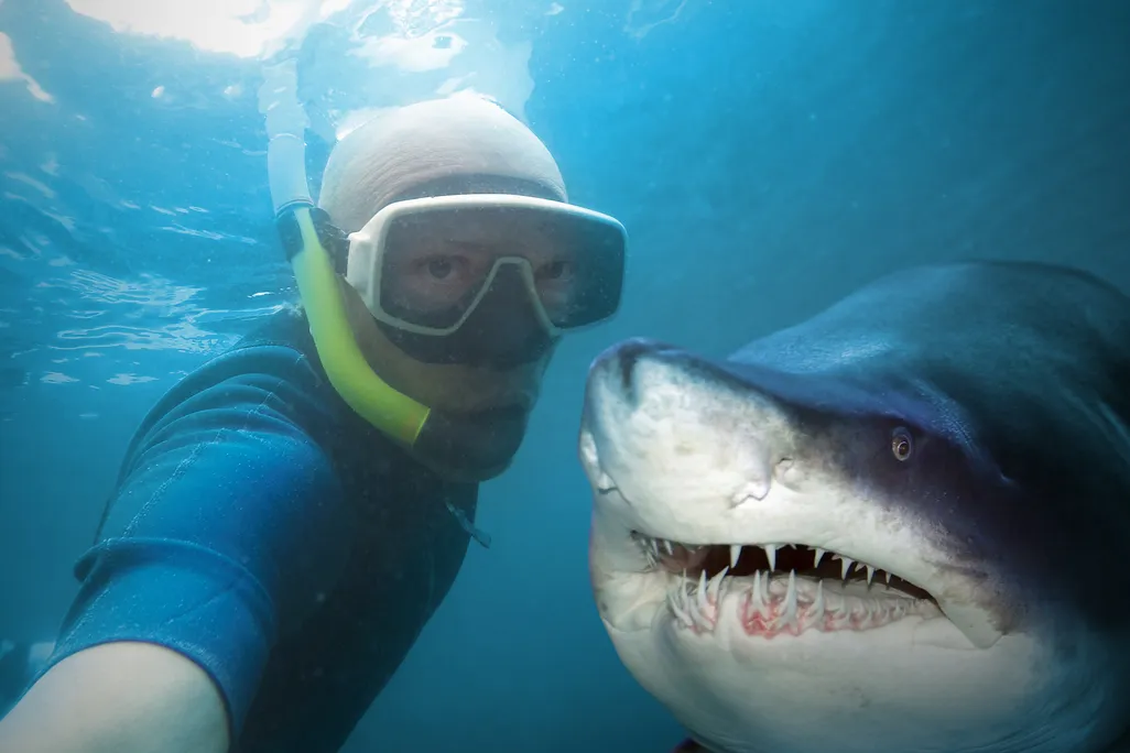 Man and Shark
