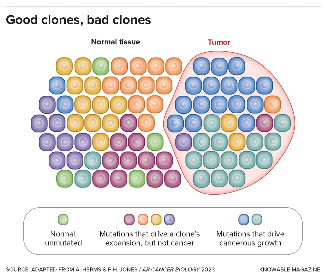Clone Graphic