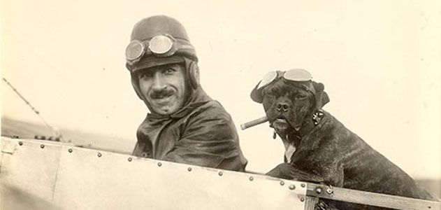 canine co-pilot monoplane