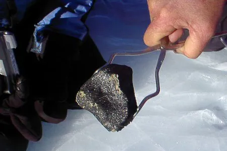 A meteorite in the process of being recovered by volunteers in the Antarctic Search for Meteorites program. The shiny fusion crust on this meteorite suggests it may be an achondrite. 