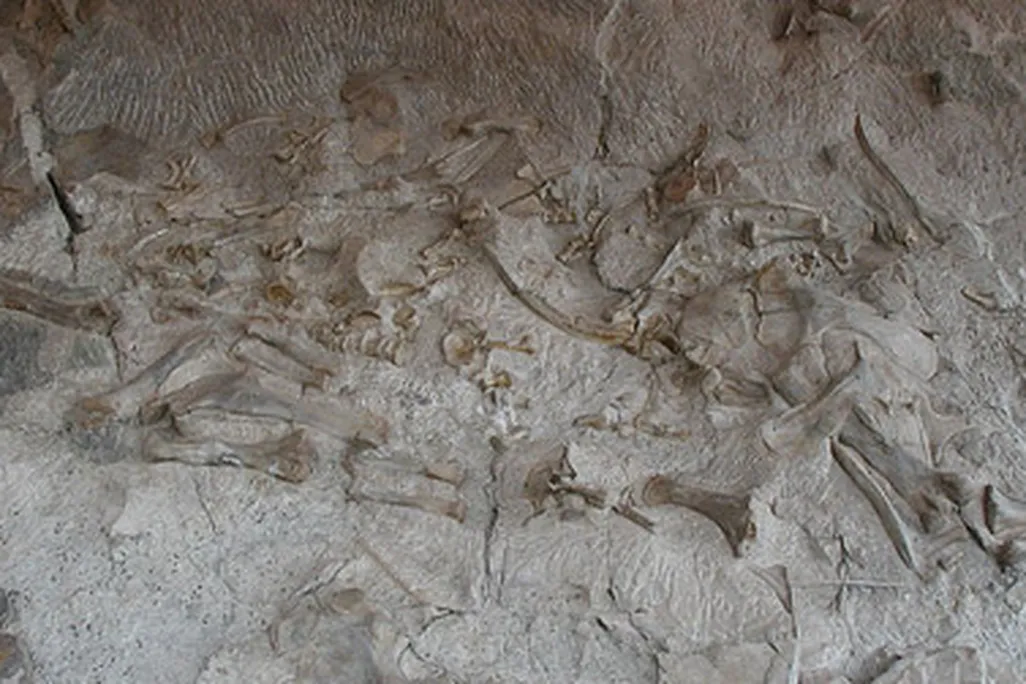 A view of the Dinosaur National Monument quarry before it closed for renovations in 2006