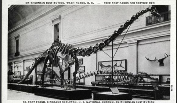 Free post cards were given to service members when they visited the US National Museum (now the National Museum of Natural History) in the 1940s. (Smithsonian Institution Archives, Image # SIA2013-07711)