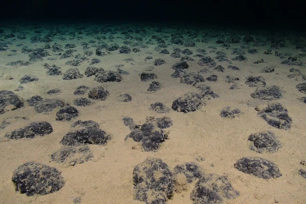 As Interest in Deep-Sea Mining Grows, Scientists Raise Alarms About the Possible Ecological Consequences