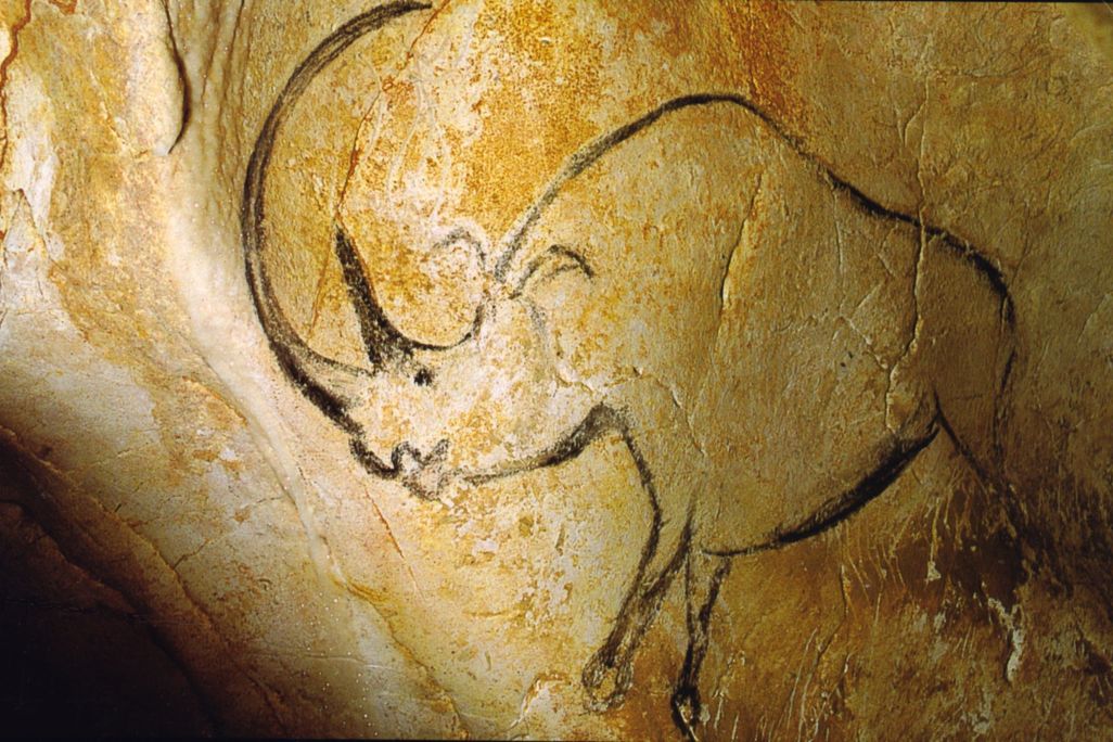 Woolly Rhino